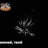 Фейерверк Яркий, зимний, твой 49 х 1,25 - Салюты и фейерверки на 49 залпов купить во Владивостоке